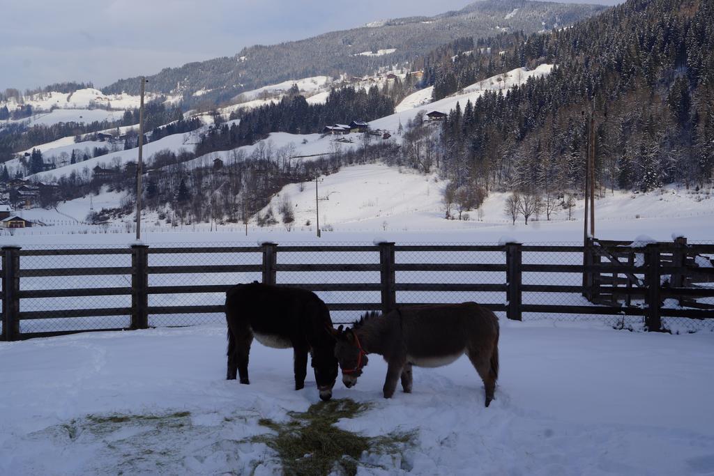 Bio-Bauernhof Reiterhof Villa Sankt Johann im Pongau Eksteriør billede